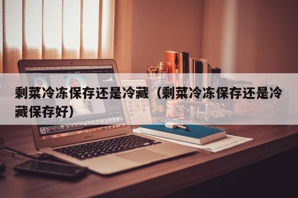 剩菜冷冻保存还是冷藏（剩菜冷冻保存还是冷藏保存好）