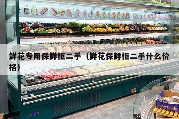 鲜花专用保鲜柜二手（鲜花保鲜柜二手什么价格）