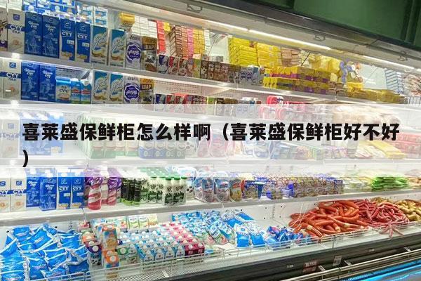 喜莱盛保鲜柜怎么样啊（喜莱盛保鲜柜好不好）