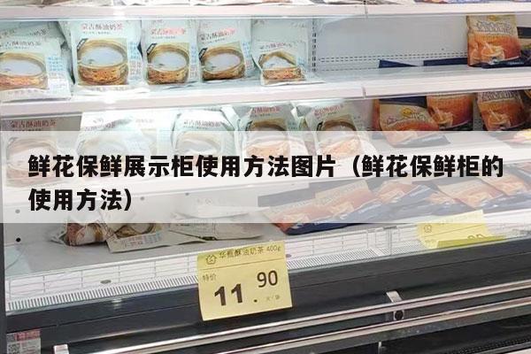 鲜花保鲜展示柜使用方法图片（鲜花保鲜柜的使用方法）