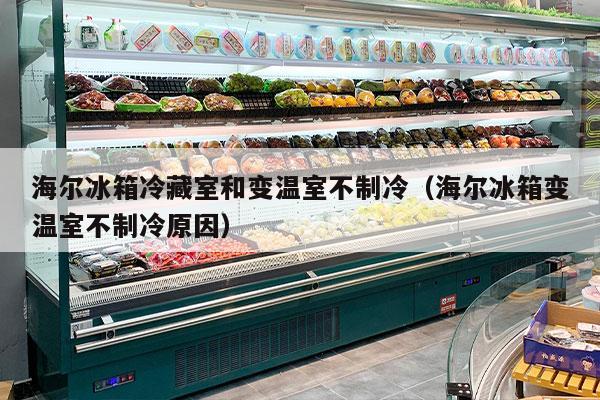 海尔冰箱冷藏室和变温室不制冷（海尔冰箱变温室不制冷原因）