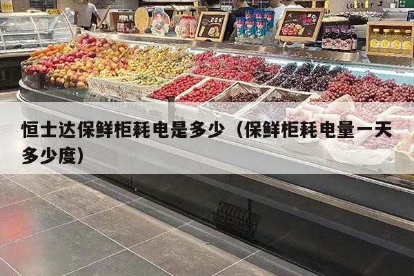 恒士达保鲜柜耗电是多少（保鲜柜耗电量一天多少度）