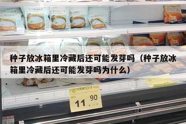 种子放冰箱里冷藏后还可能发芽吗（种子放冰箱里冷藏后还可能发芽吗为什么）