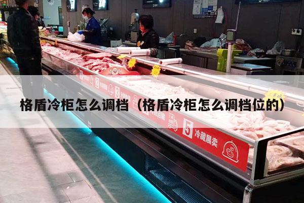 格盾冷柜怎么调档（格盾冷柜怎么调档位的）