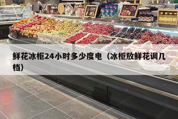 鲜花冰柜24小时多少度电（冰柜放鲜花调几档）