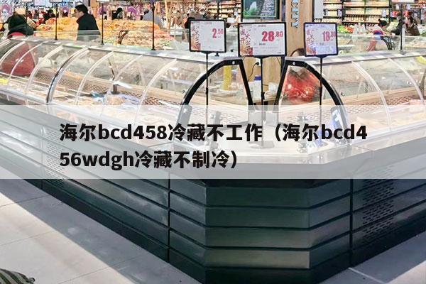 海尔bcd458冷藏不工作（海尔bcd456wdgh冷藏不制冷）