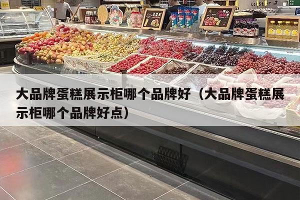大品牌蛋糕展示柜哪个品牌好（大品牌蛋糕展示柜哪个品牌好点）