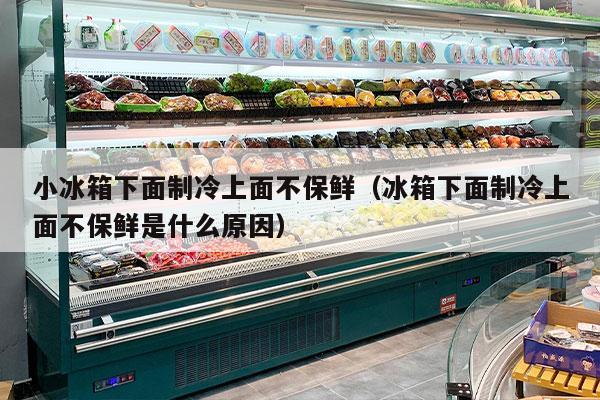 小冰箱下面制冷上面不保鲜（冰箱下面制冷上面不保鲜是什么原因）
