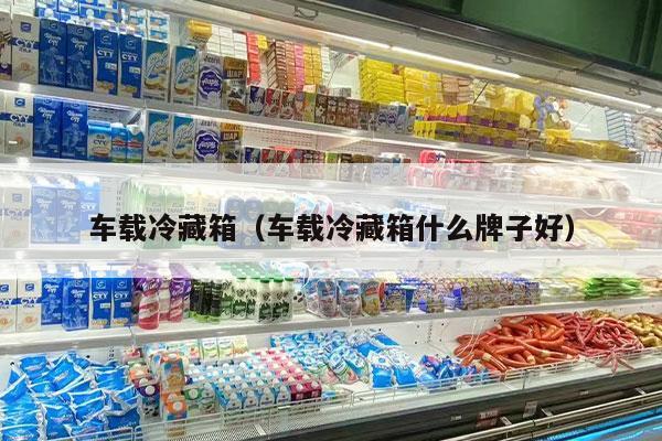 车载冷藏箱（车载冷藏箱什么牌子好）