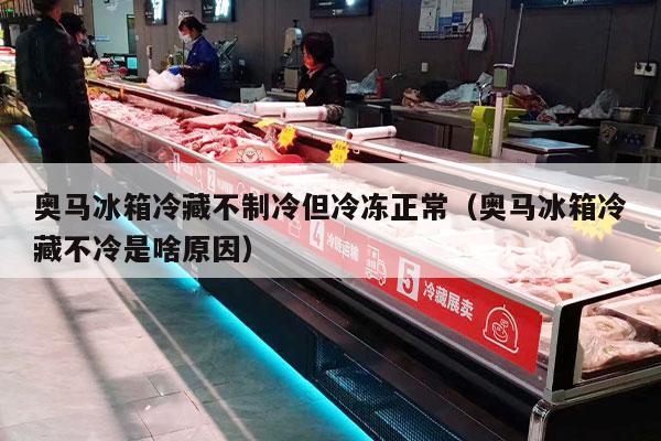 奥马冰箱冷藏不制冷但冷冻正常（奥马冰箱冷藏不冷是啥原因）