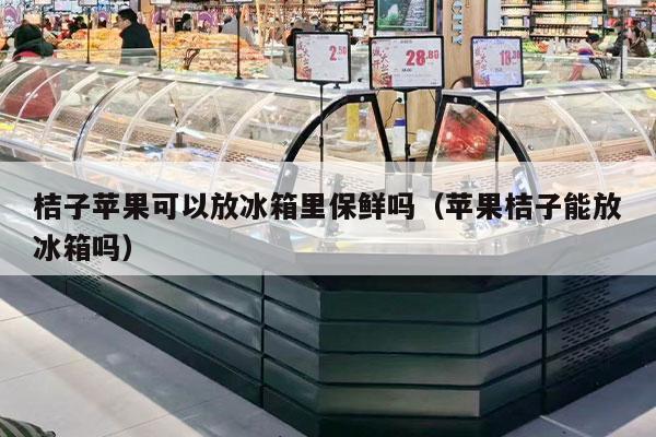 桔子苹果可以放冰箱里保鲜吗（苹果桔子能放冰箱吗）