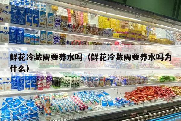 鲜花冷藏需要养水吗（鲜花冷藏需要养水吗为什么）