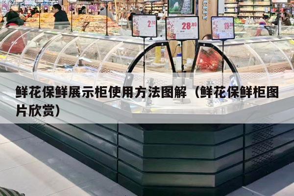 鲜花保鲜展示柜使用方法图解（鲜花保鲜柜图片欣赏）