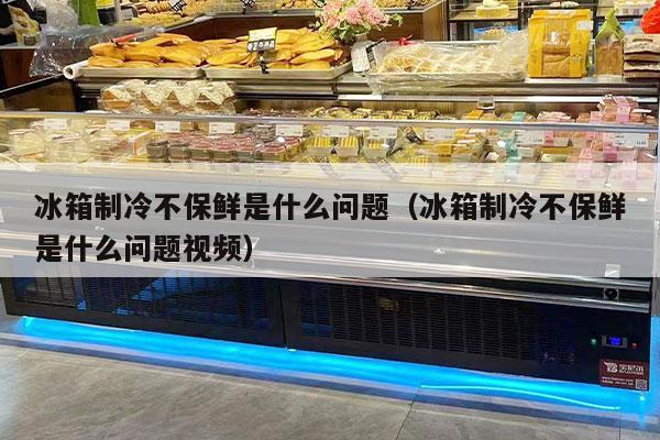 冰箱制冷不保鲜是什么问题（冰箱制冷不保鲜是什么问题视频）