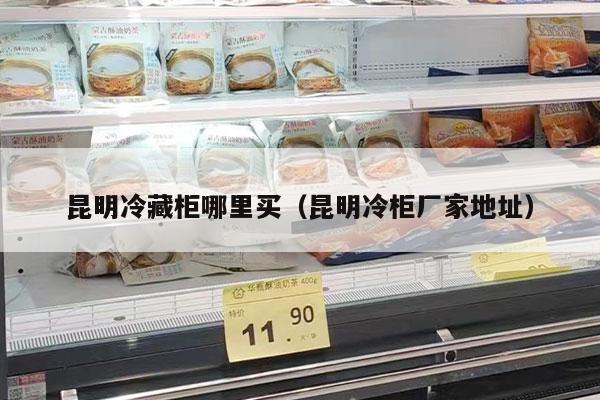 昆明冷藏柜哪里买（昆明冷柜厂家地址）