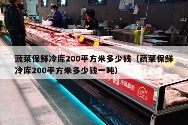蔬菜保鲜冷库200平方米多少钱（蔬菜保鲜冷库200平方米多少钱一吨）