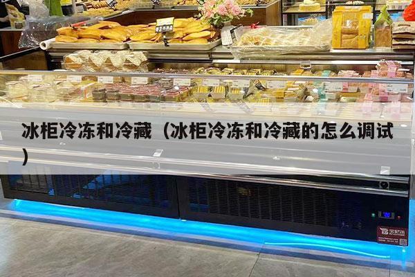 冰柜冷冻和冷藏（冰柜冷冻和冷藏的怎么调试）