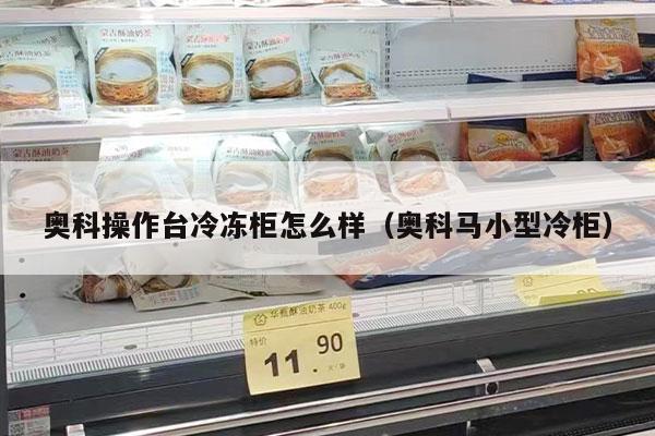 奥科操作台冷冻柜怎么样（奥科马小型冷柜）