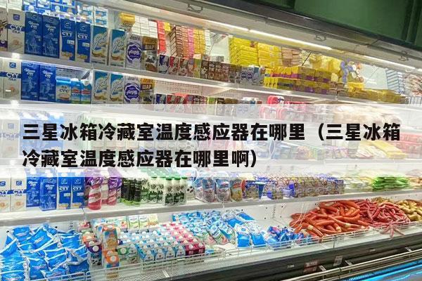 三星冰箱冷藏室温度感应器在哪里（三星冰箱冷藏室温度感应器在哪里啊）