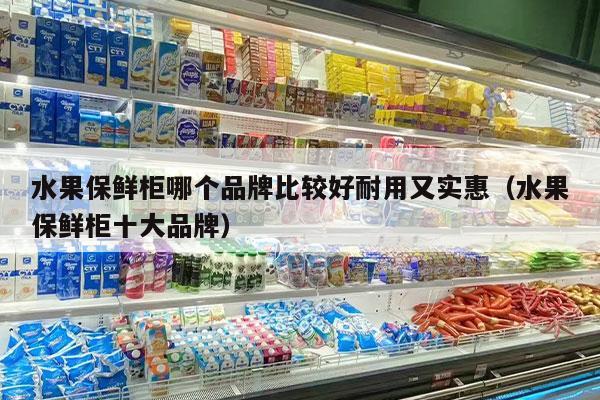 水果保鲜柜哪个品牌比较好耐用又实惠（水果保鲜柜十大品牌）