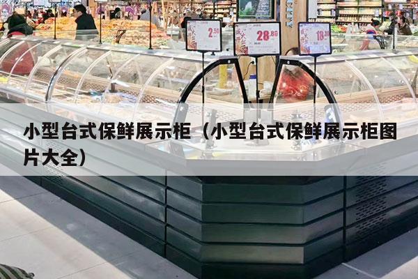 小型台式保鲜展示柜（小型台式保鲜展示柜图片大全）