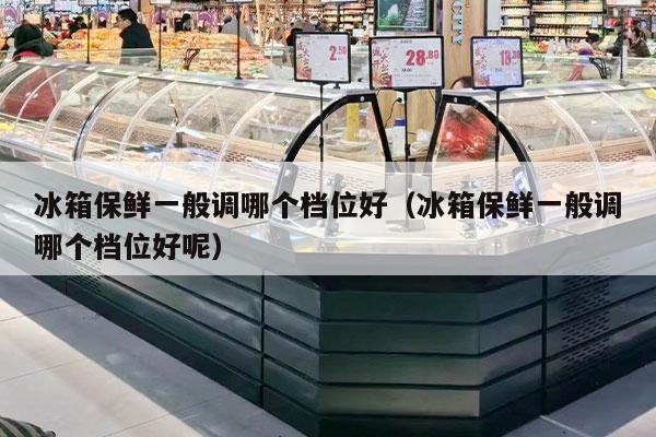 冰箱保鲜一般调哪个档位好（冰箱保鲜一般调哪个档位好呢）