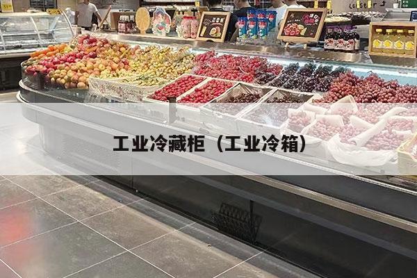 工业冷藏柜（工业冷箱）