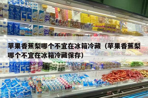 苹果香蕉梨哪个不宜在冰箱冷藏（苹果香蕉梨哪个不宜在冰箱冷藏保存）