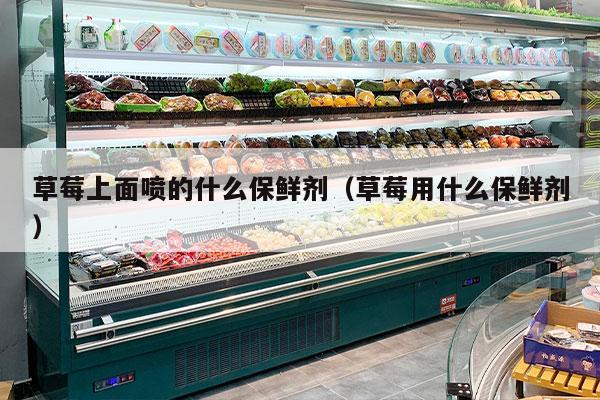 草莓上面喷的什么保鲜剂（草莓用什么保鲜剂）