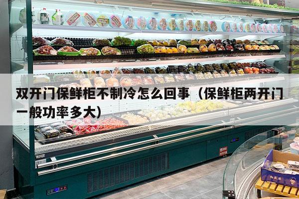 双开门保鲜柜不制冷怎么回事（保鲜柜两开门一般功率多大）