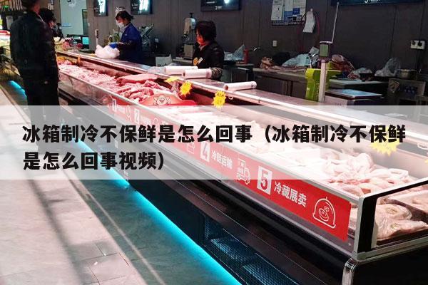冰箱制冷不保鲜是怎么回事（冰箱制冷不保鲜是怎么回事视频）
