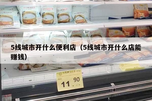 5线城市开什么便利店（5线城市开什么店能赚钱）