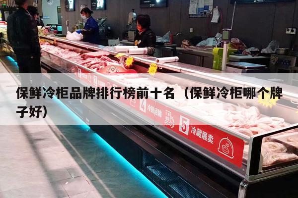 保鲜冷柜品牌排行榜前十名（保鲜冷柜哪个牌子好）