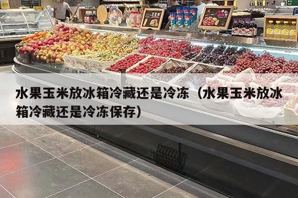 水果玉米放冰箱冷藏还是冷冻（水果玉米放冰箱冷藏还是冷冻保存）