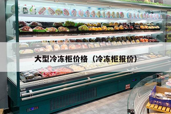 大型冷冻柜价格（冷冻柜报价）