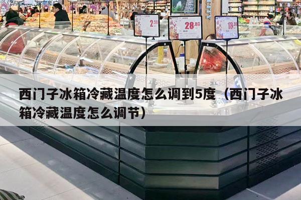 西门子冰箱冷藏温度怎么调到5度（西门子冰箱冷藏温度怎么调节）