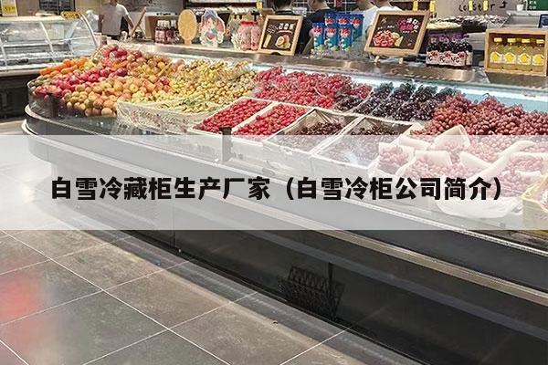 白雪冷藏柜生产厂家（白雪冷柜公司简介）