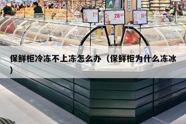 保鲜柜冷冻不上冻怎么办（保鲜柜为什么冻冰）