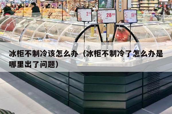 冰柜不制冷该怎么办（冰柜不制冷了怎么办是哪里出了问题）