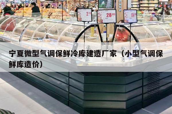 宁夏微型气调保鲜冷库建造厂家（小型气调保鲜库造价）