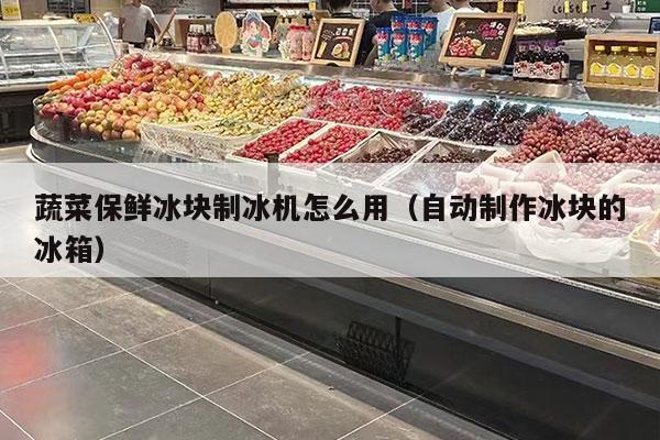 蔬菜保鲜冰块制冰机怎么用（自动制作冰块的冰箱）