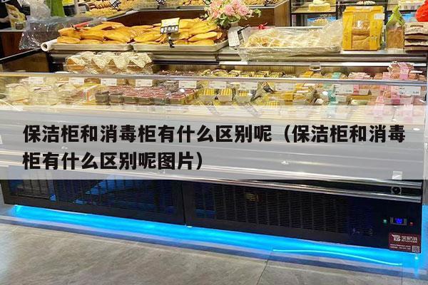 保洁柜和消毒柜有什么区别呢（保洁柜和消毒柜有什么区别呢图片）
