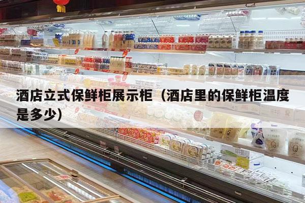 酒店立式保鲜柜展示柜（酒店里的保鲜柜温度是多少）