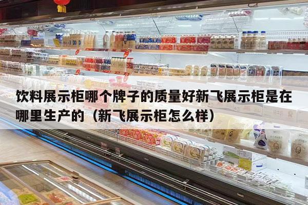 饮料展示柜哪个牌子的质量好新飞展示柜是在哪里生产的（新飞展示柜怎么样）