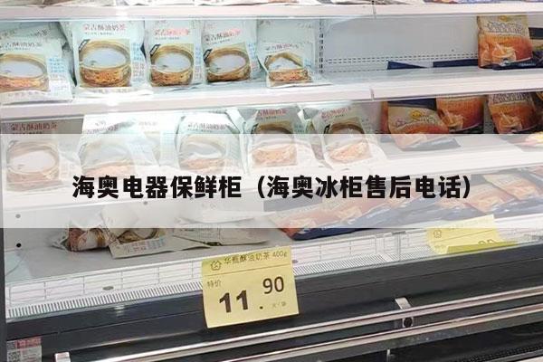 海奥电器保鲜柜（海奥冰柜售后电话）