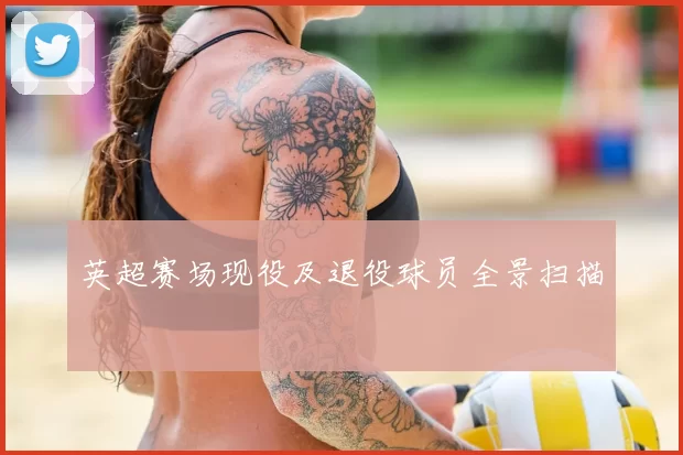 英超赛场现役及退役球员全景扫描