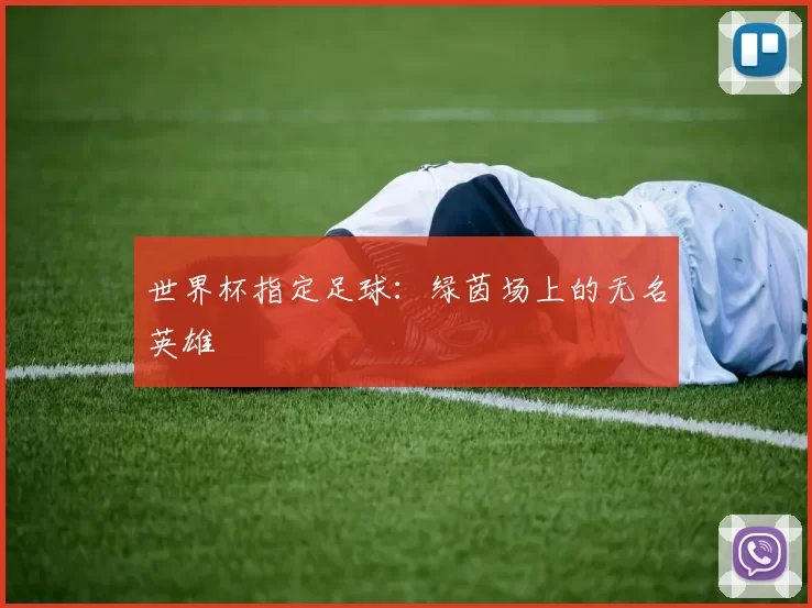 世界杯指定足球:绿茵场上的无名英雄