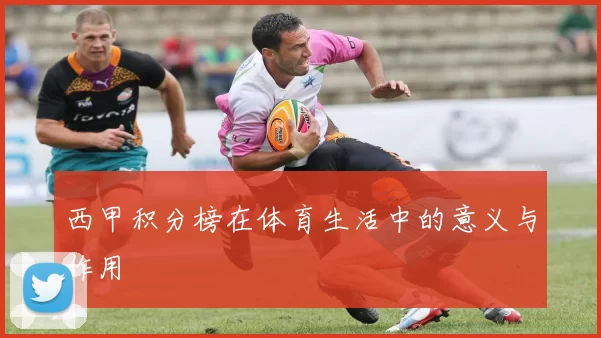 西甲积分榜在体育生活中的意义与作用