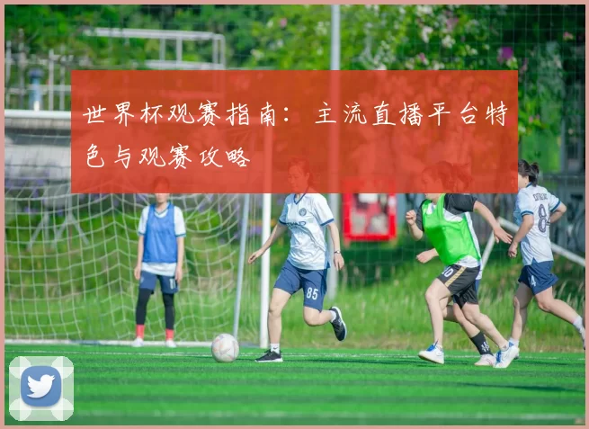 世界杯观赛指南:主流直播平台特色与观赛攻略