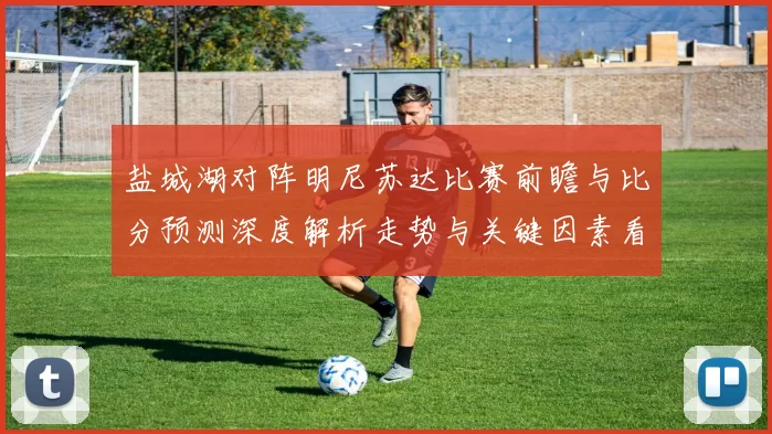 盐城湖对阵明尼苏达比赛前瞻与比分预测深度解析走势与关键因素看点